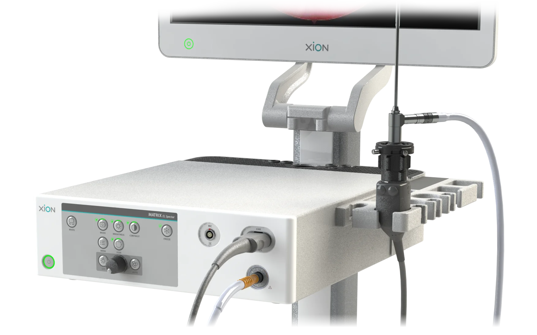 EndoOFFICE Spectar