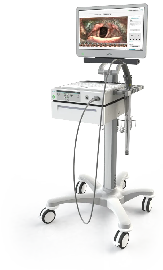 EndoFLEX Spectar EndoFLEX Spectar