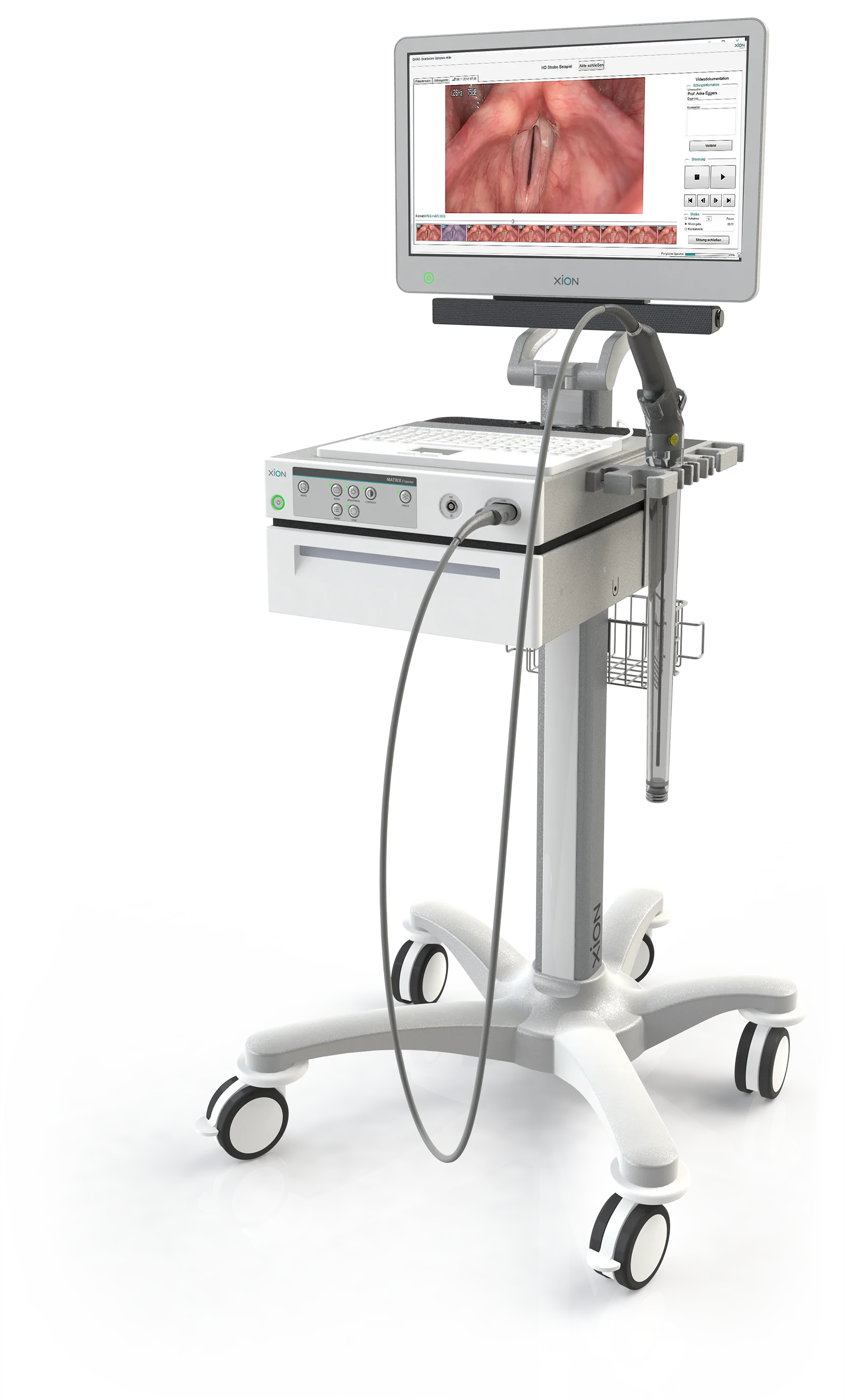 EndoFLEX Spectar EndoFLEX Spectar